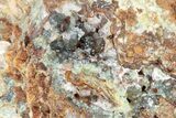 Scorodite Crystals on Matrix - Ojuela Mine, Mexico #219847-1